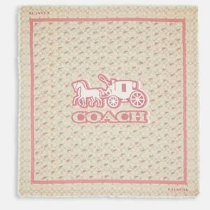 🎠Horse And Carriage🎠 🍓Strawberry Print🍓 Oversized Square Scarf